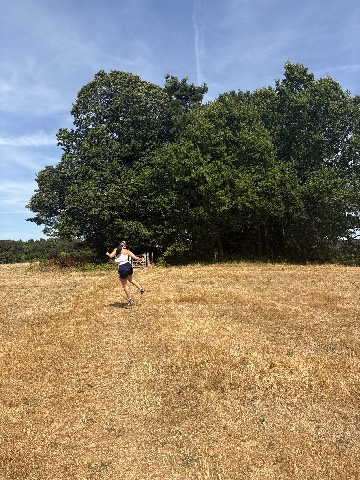 Photo of the tree